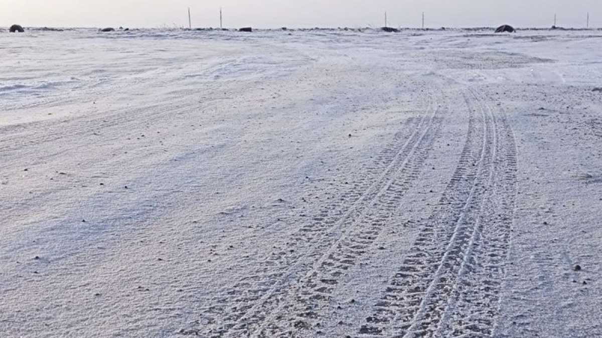 Петропавлдағы мектептерде сабақ тоқтатылып, автобустар жолға шықпады