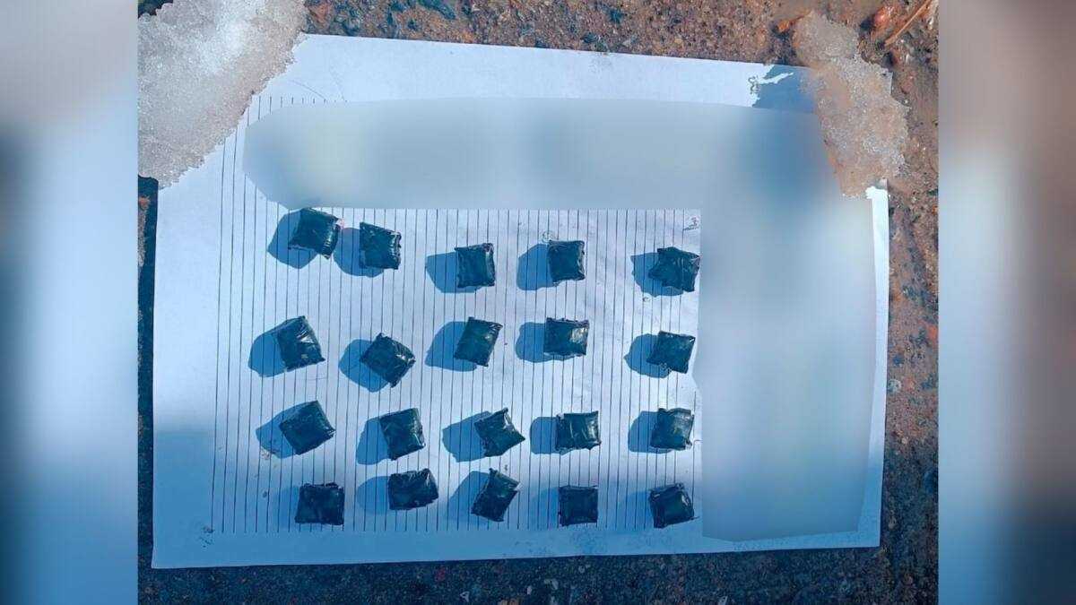 СҚО полицейлері Петропавл тұрғынынан 45 грамм мефедрон тәркіледі