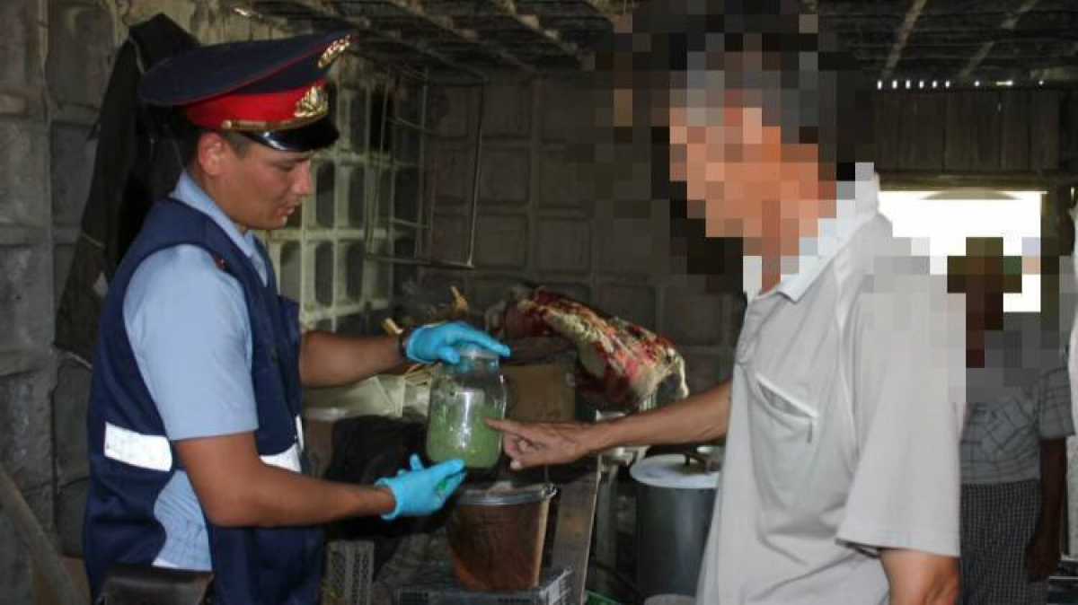 Қызылордалық полицейлер тыйым салынған өсімдікті өсірген тұрғынды ұстады