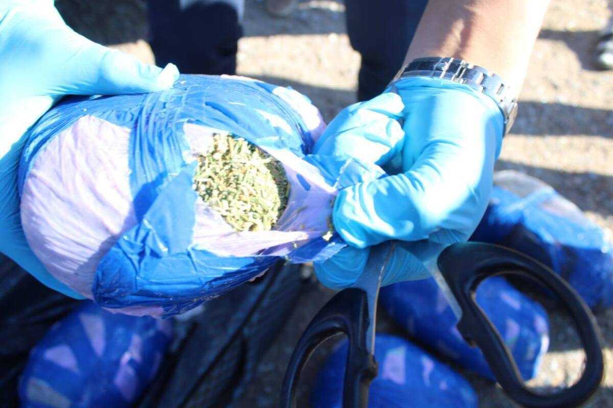Қызылорда облысының полицейлері 18 келіден астам кептірілген марихуана тасымалдаған азаматты ұстады