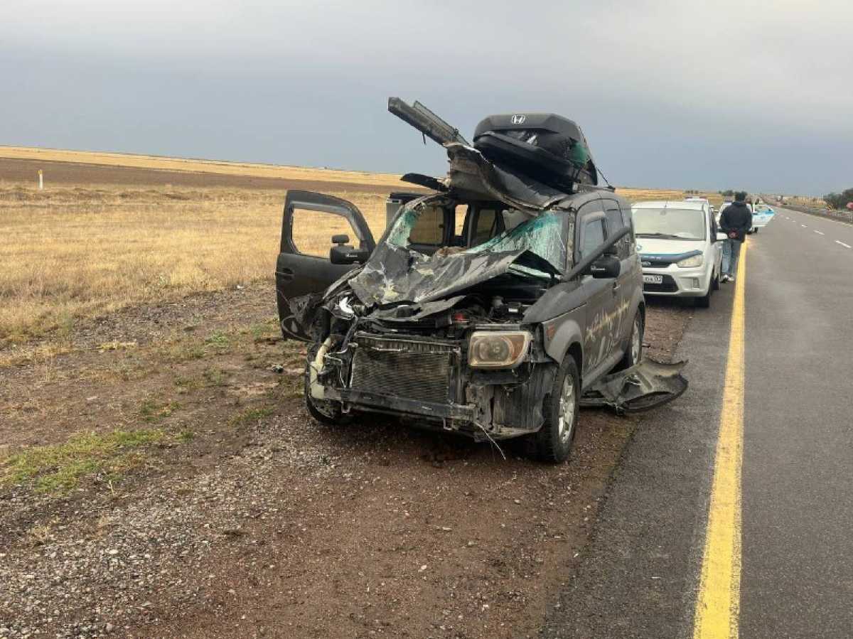 Жетісуда жолға шауып шыққан жылқы адам өліміне себеп болды