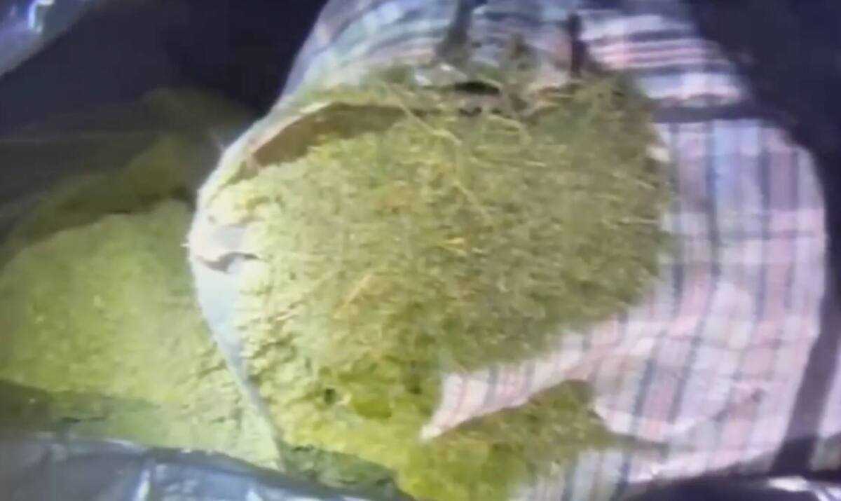 Ақтөбе облысының полицейлері заңсыз есірткінің 30 мыңнан астам дозасының айналымға шығуының жолын кесті