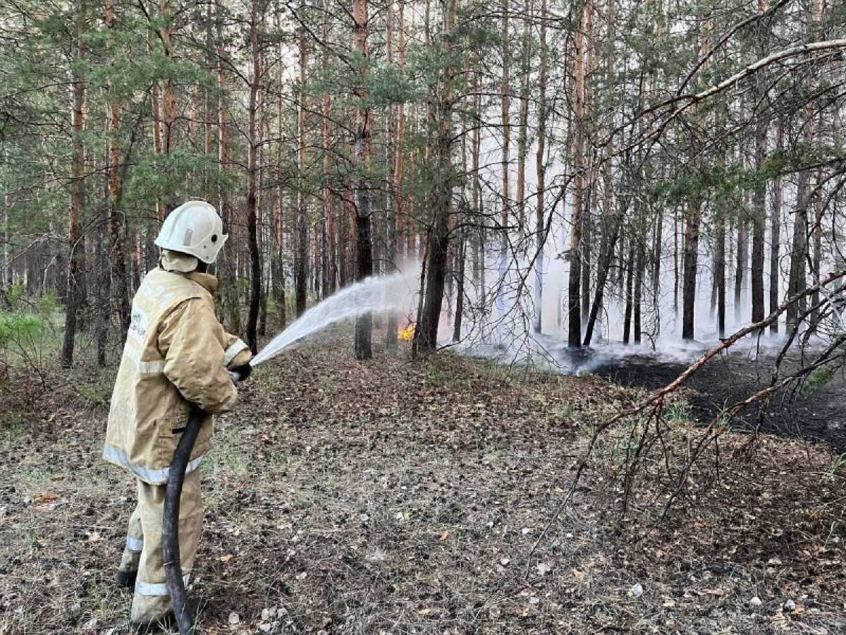 Абай облысындағы өрт: шығын есептелді