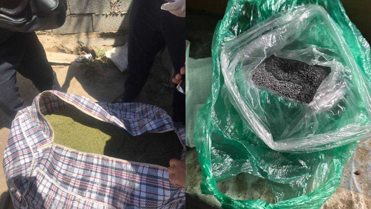Жетісу облысының полицейлері 240 келіден астам есірткі тәркіледі