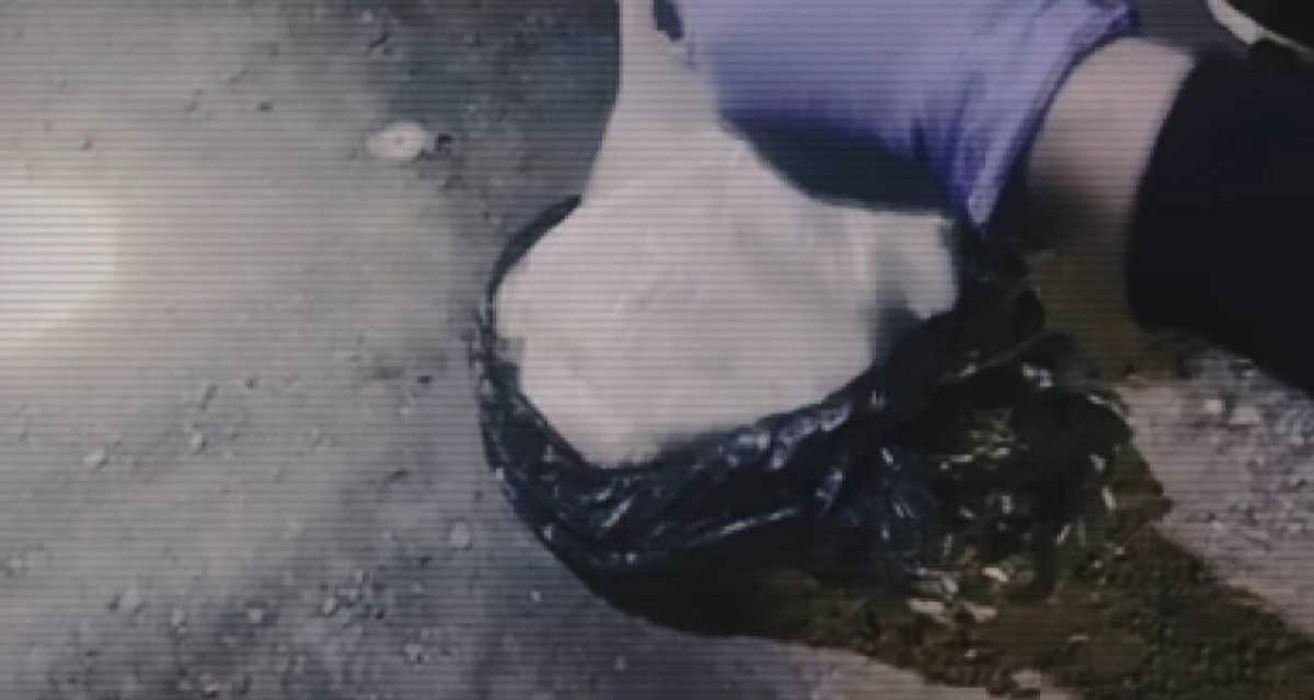 Полиция бір апта ішінде 250 кг есірткі тәркіледі