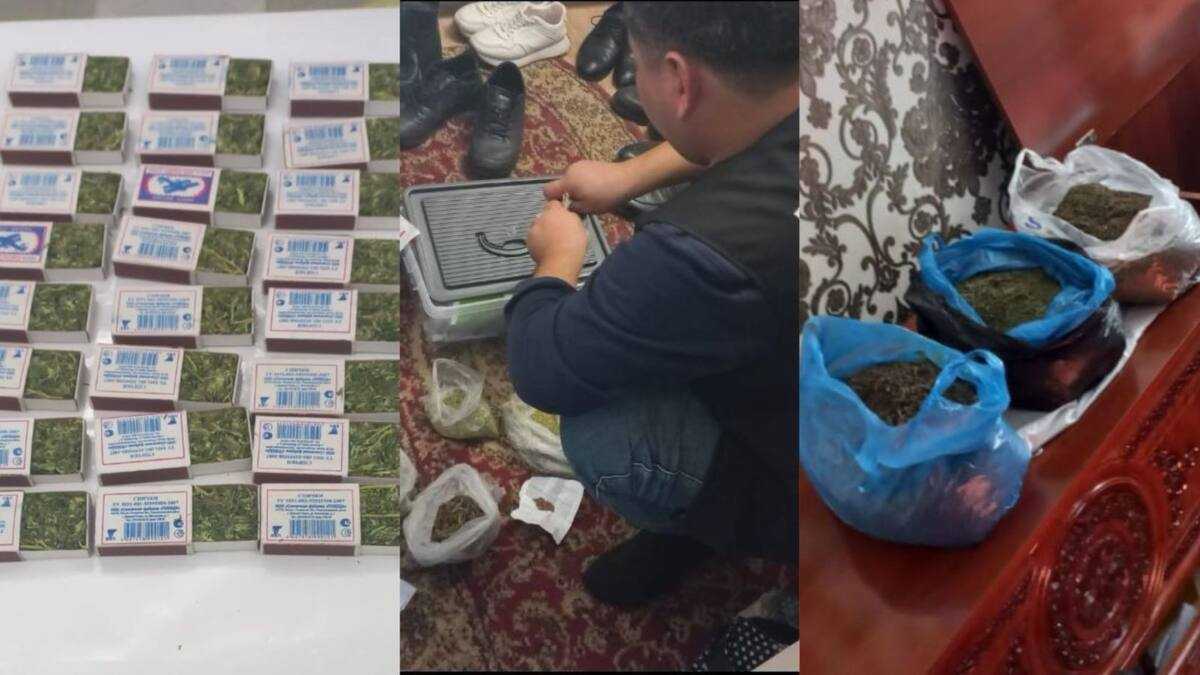 Түркістан облысының полицейлері деструктивті діни ағым жақтаушысынан 5 келіге жуық марихуана тәркіледі