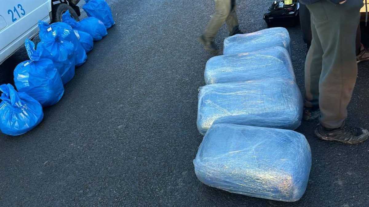 Қарағандылық полицейлер есірткі тасымалдаушылардан 146 келі марихуана мен 94 келі гашиш тәркіледі