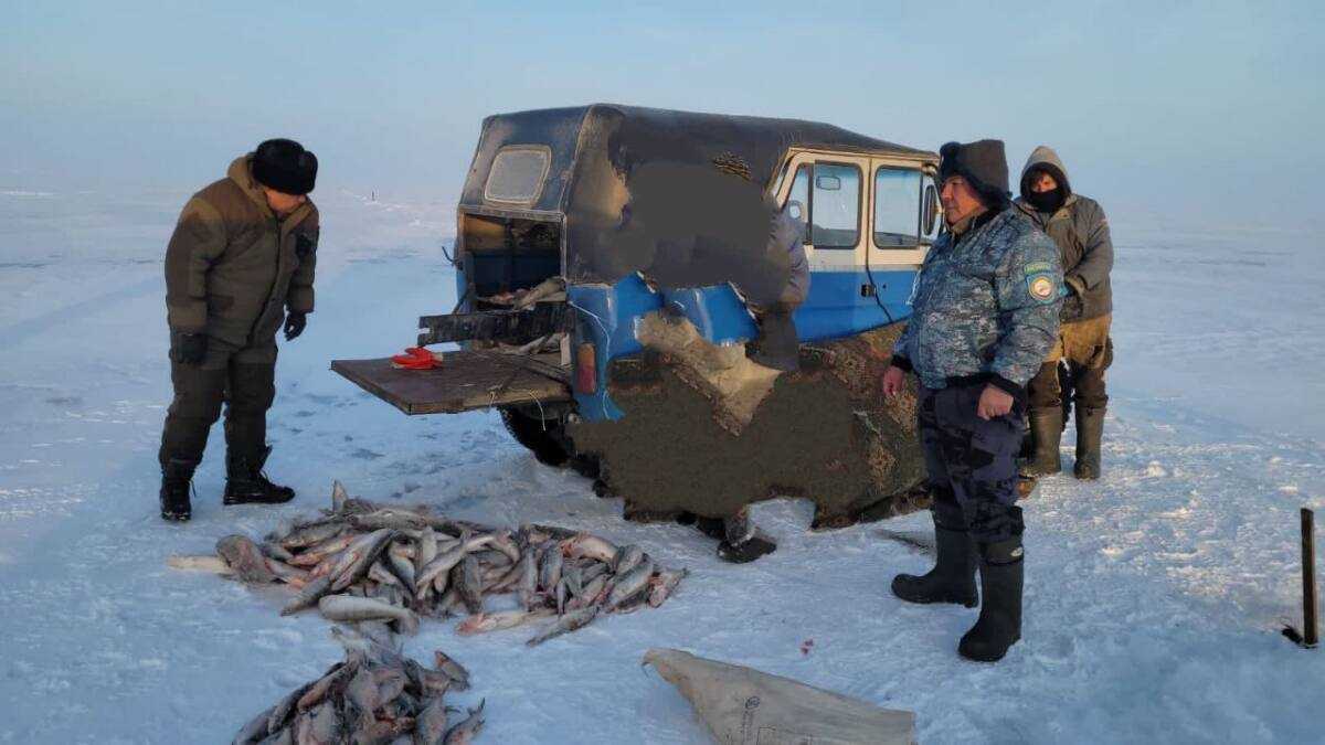 Жетісу полицейлері браконьерден 120 келіден астам балық тәркіледі