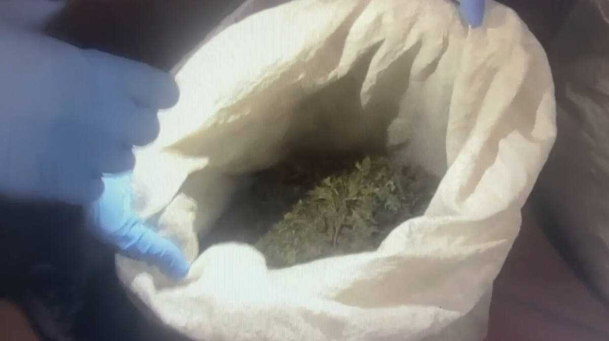 СҚО полицейлері ауыл тұрғынының үйінен екі қап марихуана тәркіледі
