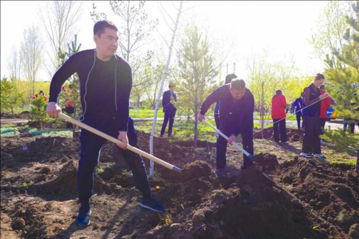 Астанада мәслихат депутаттары әлеуметтік орталық аумағына ағаш отырғызды