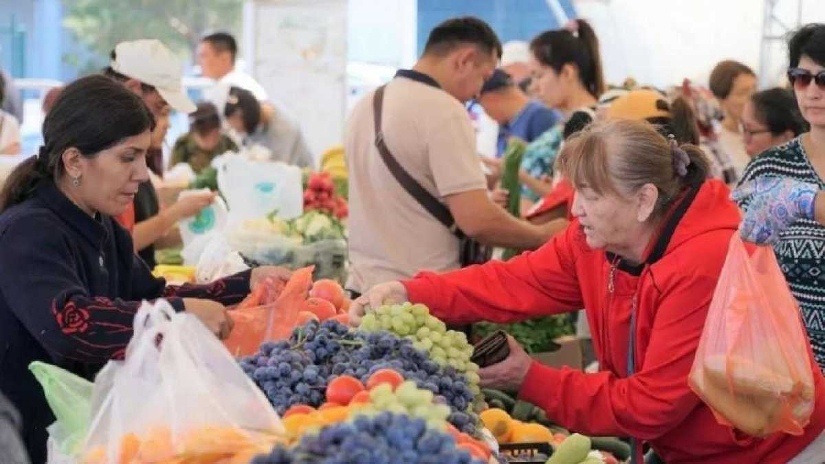 Астанада ауыл шаруашылығы жәрмеңкесі қайта басталды