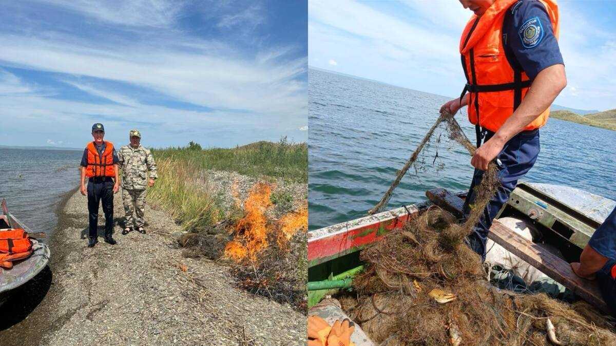 ШҚО-да полицейлер 2000 метрден астам браконьерлік ауларды жойды