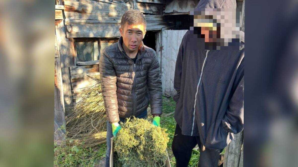 Полицейлер ШҚО тұрғынынан 15 келіден астам марихуана тәркіледі