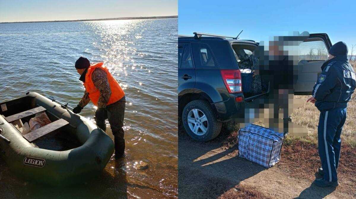 Павлодар облысында полиция браконьерлерді анықтауды жалғастырып жатыр