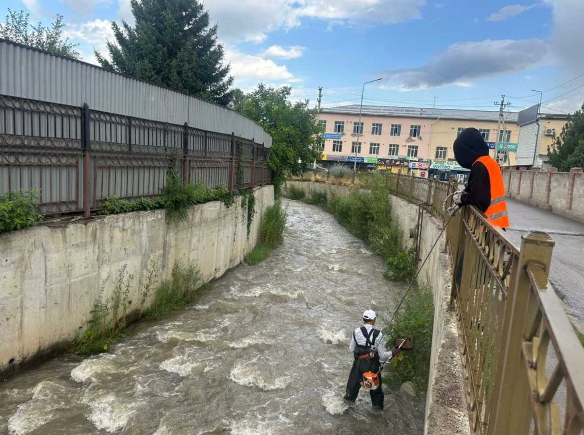 Алматыда Ақсай мен Қарғалы өзендерінің аумағынан 150 текше метр қоқыс шығарылды