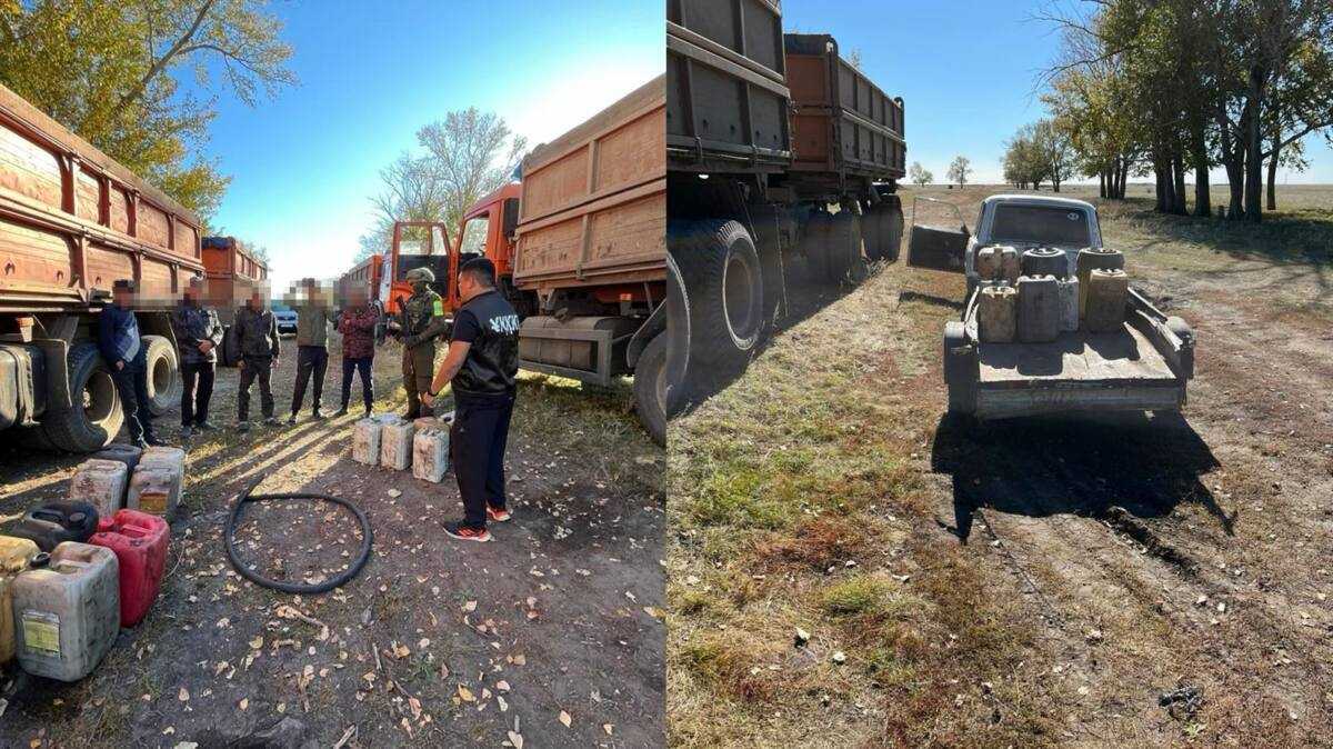 Солтүстік Қазақстан облысында полицейлер жанар-жағармай ұрлығының жолын кесті