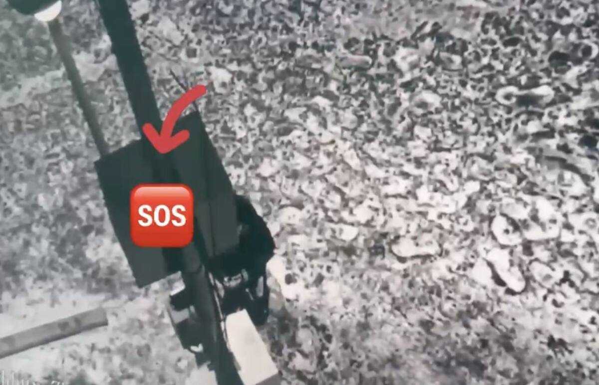 “SOS” түймесі павлодарлық әйелді қауіпті жағдайдан құтқарды