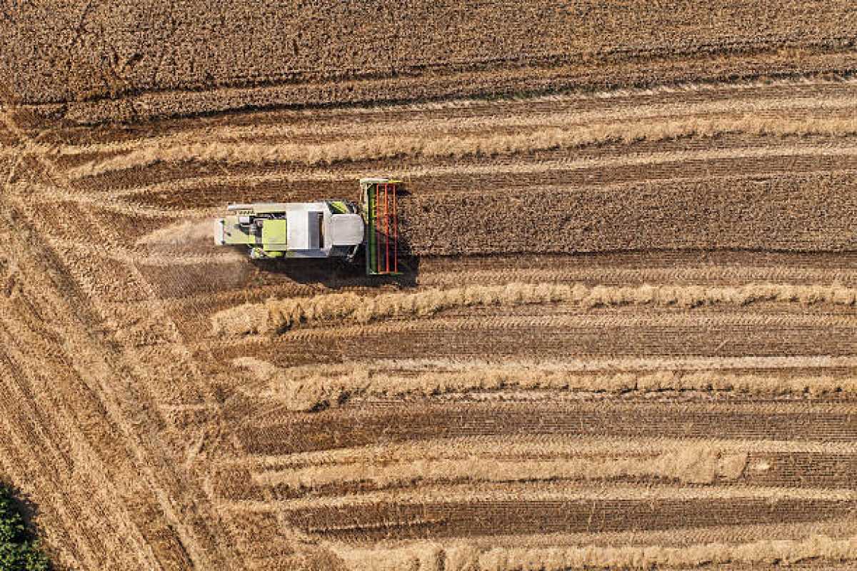 Жаңа өнімнен 4,8 млн тонна астық экспортталды