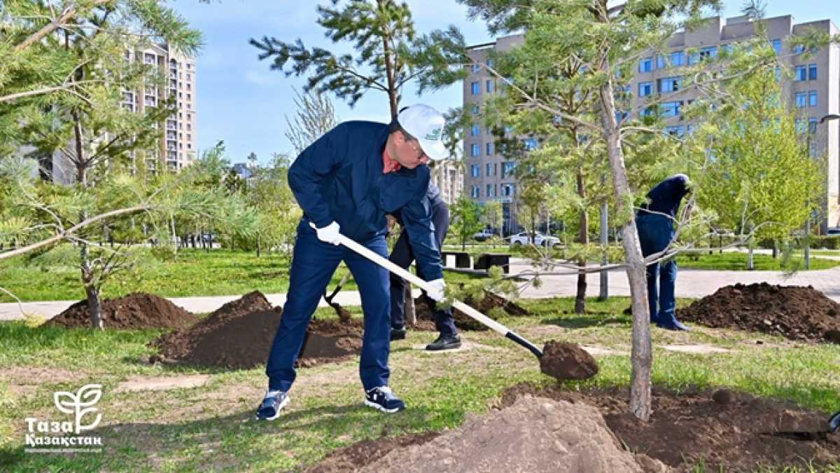 Үкімет Аппараты «Таза Қазақстан» экологиялық бастамасы аясында сенбілікке қатысты