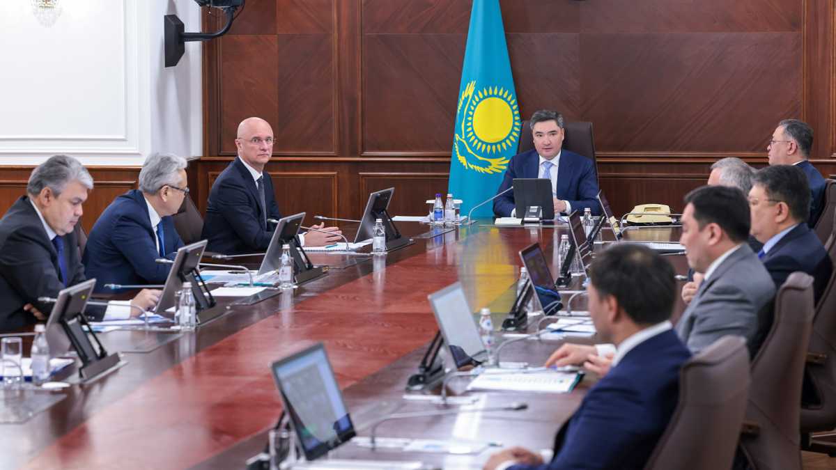 Үкіметте салаларды дамыту мәселесі қаралды