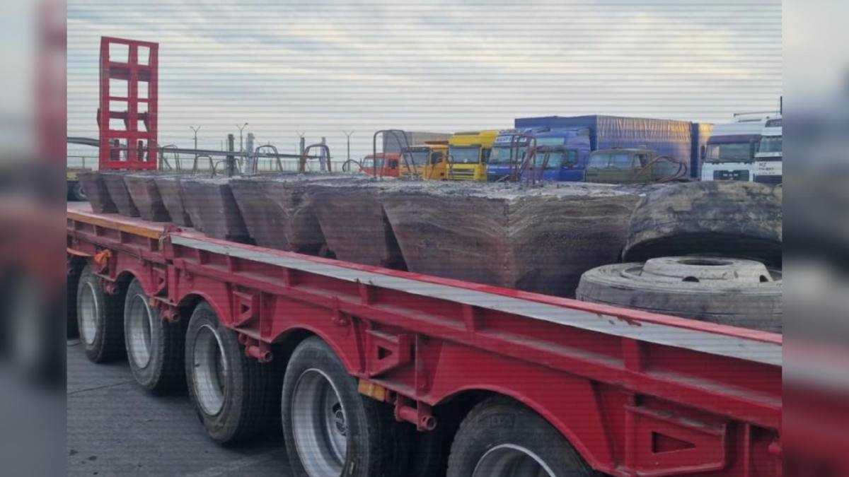 ІІМ: Шетелге стратегиялық маңызды шикізатты заңсыз әкету әрекеттері тоқтатылды