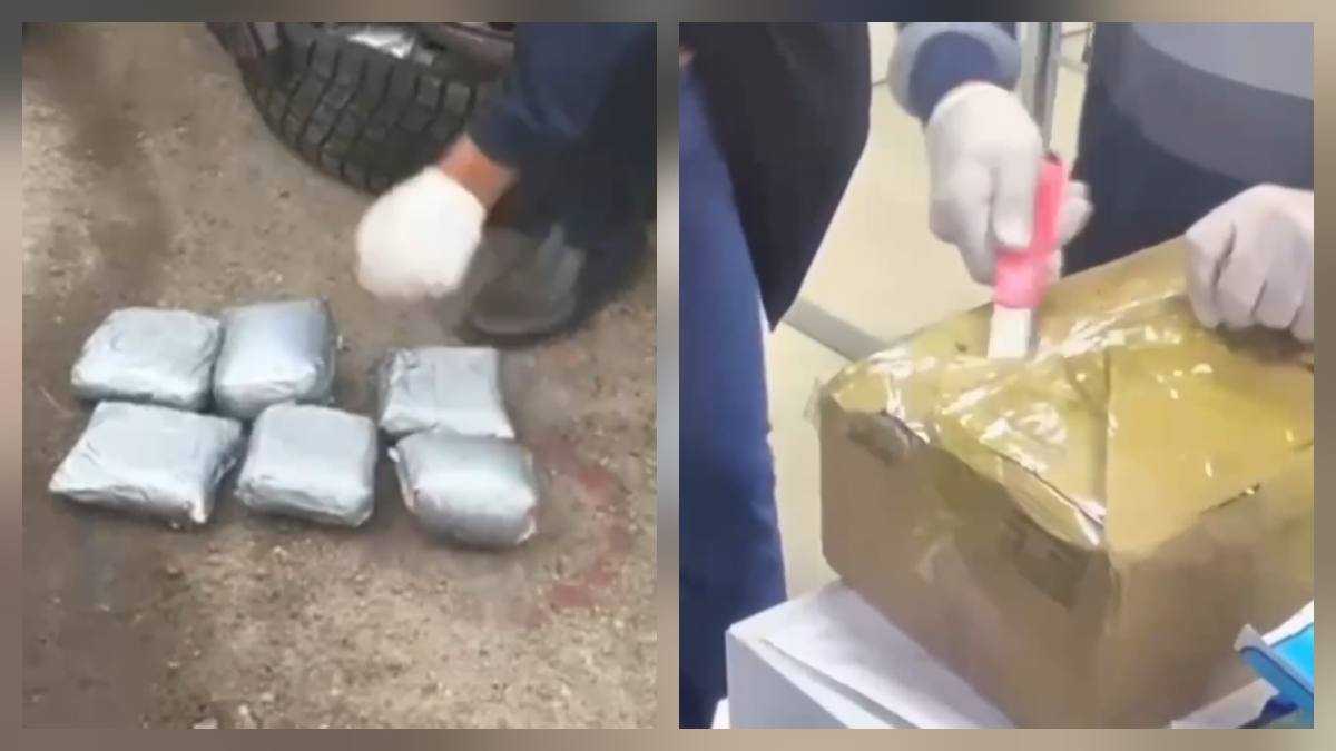 Көлік полицейлері есірткі қылмысына қарсы күресті үздіксіз жүргізіп жатыр
