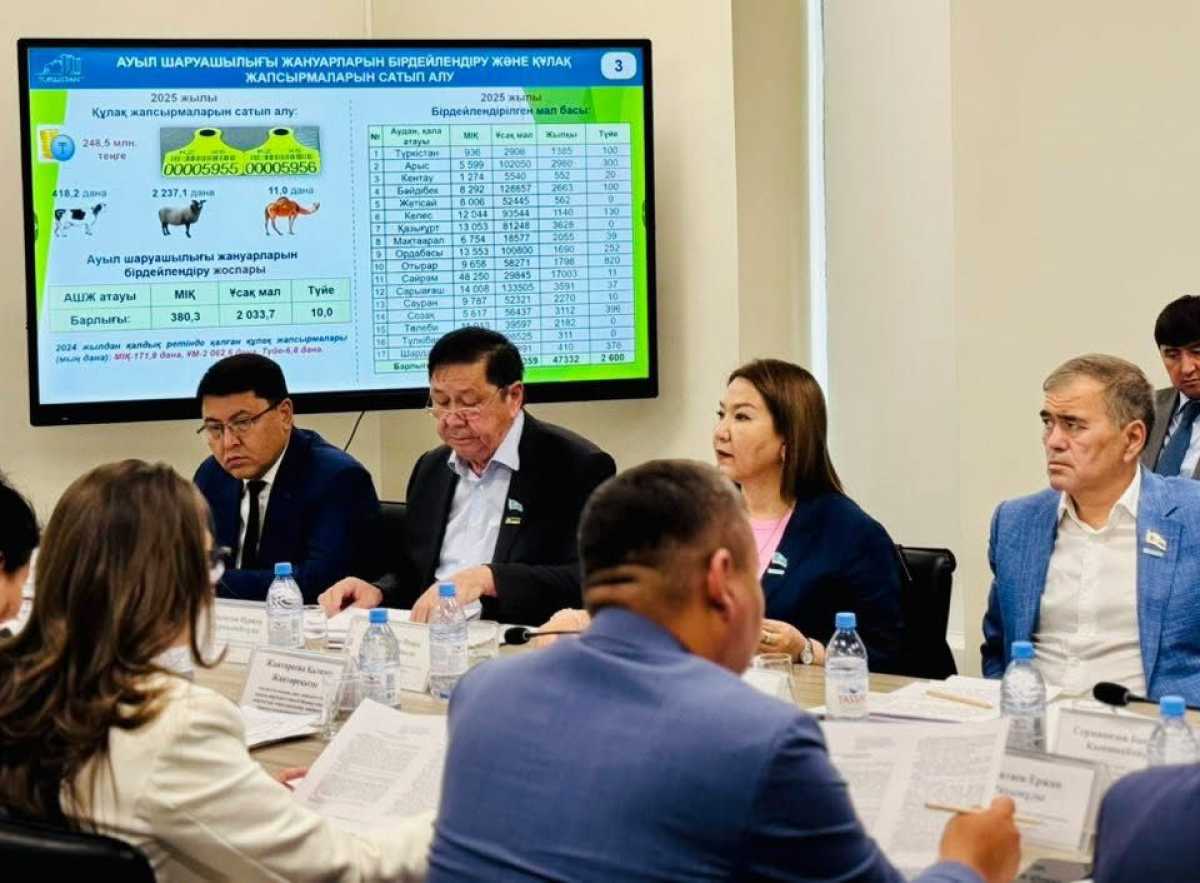 Түркістан облыстық мәслихаттың бюджет, экономика және ауыл шаруашылығы мәселелері жөніндегі тұрақты комиссияның мәжілісі өтті
