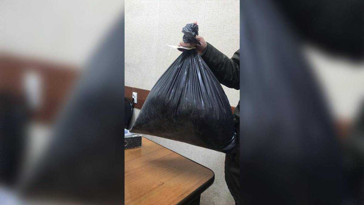 СҚО-да бір айда есірткіге қатысты 17 құқық бұзушылық анықталды