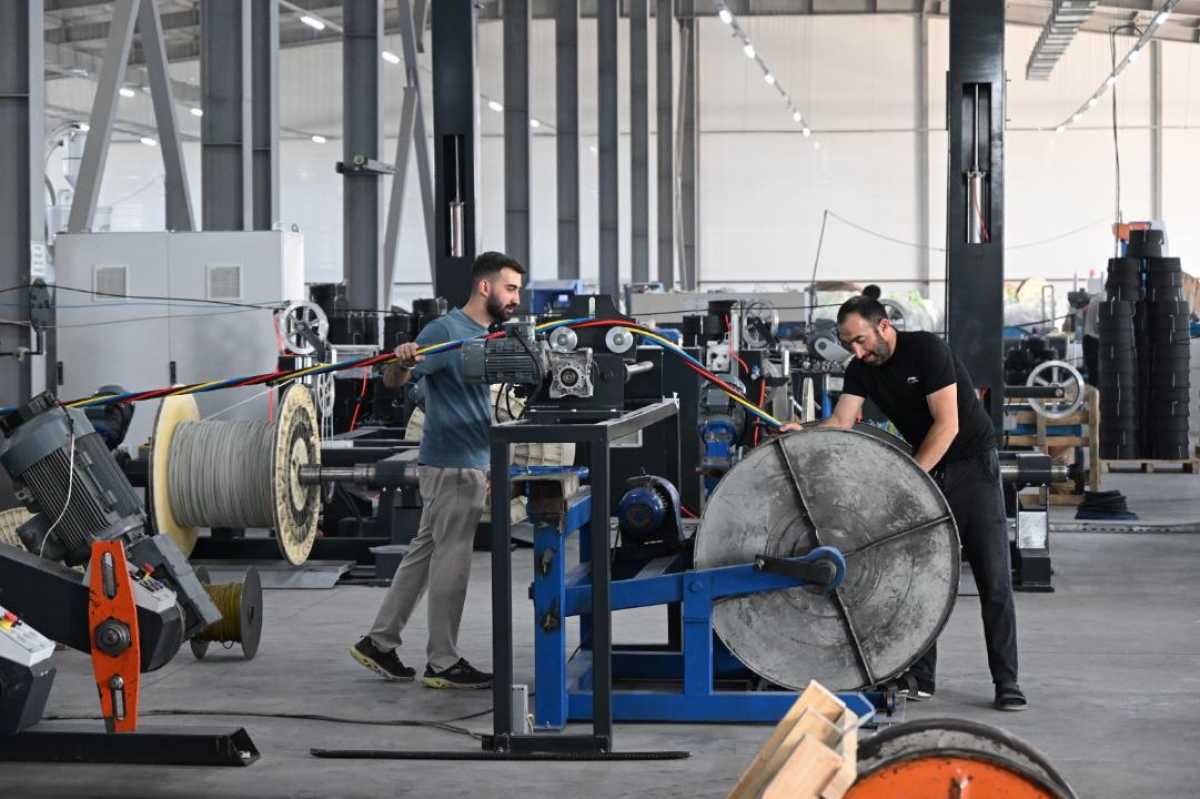«Almaty Business – 2025» бағдарламасы аясында 38,3 млрд теңгеге 750-ден астам жоба қаржыландырылды