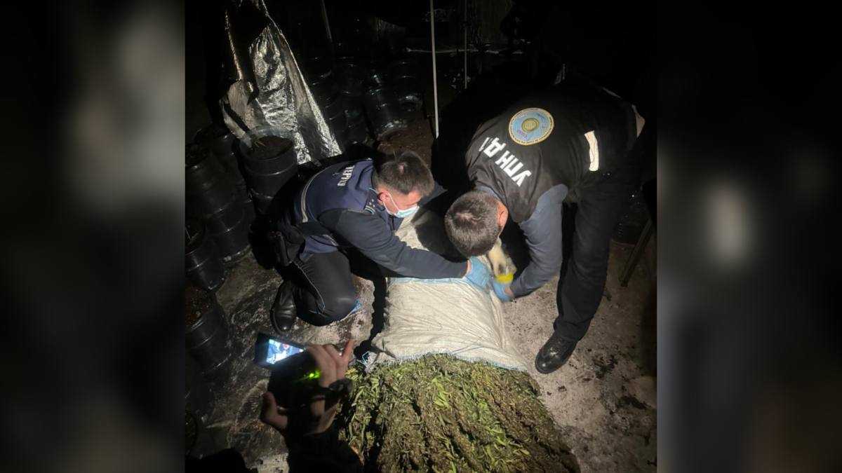 Атырауда күдіктіден 16 келіден астам қарасора тәркіленді