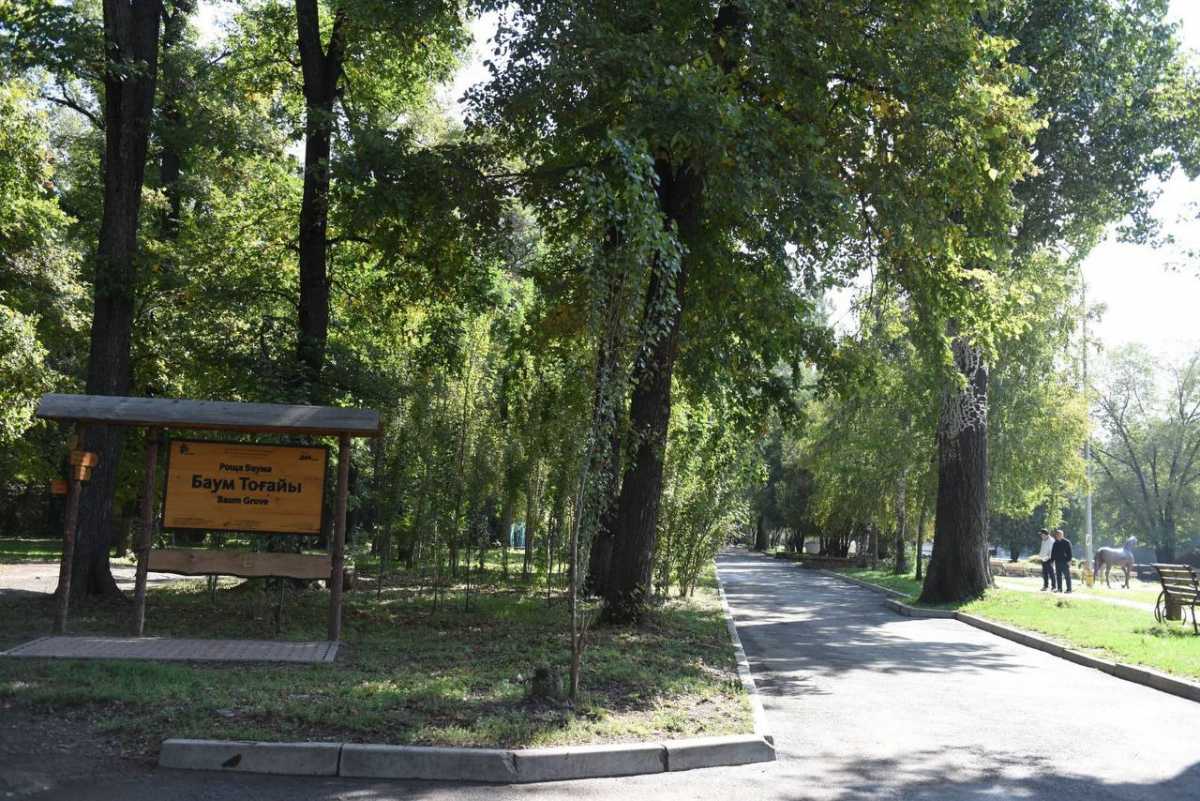 Алматыда Баум тоғайы экожүйені сақтай отырып абаттандырылады