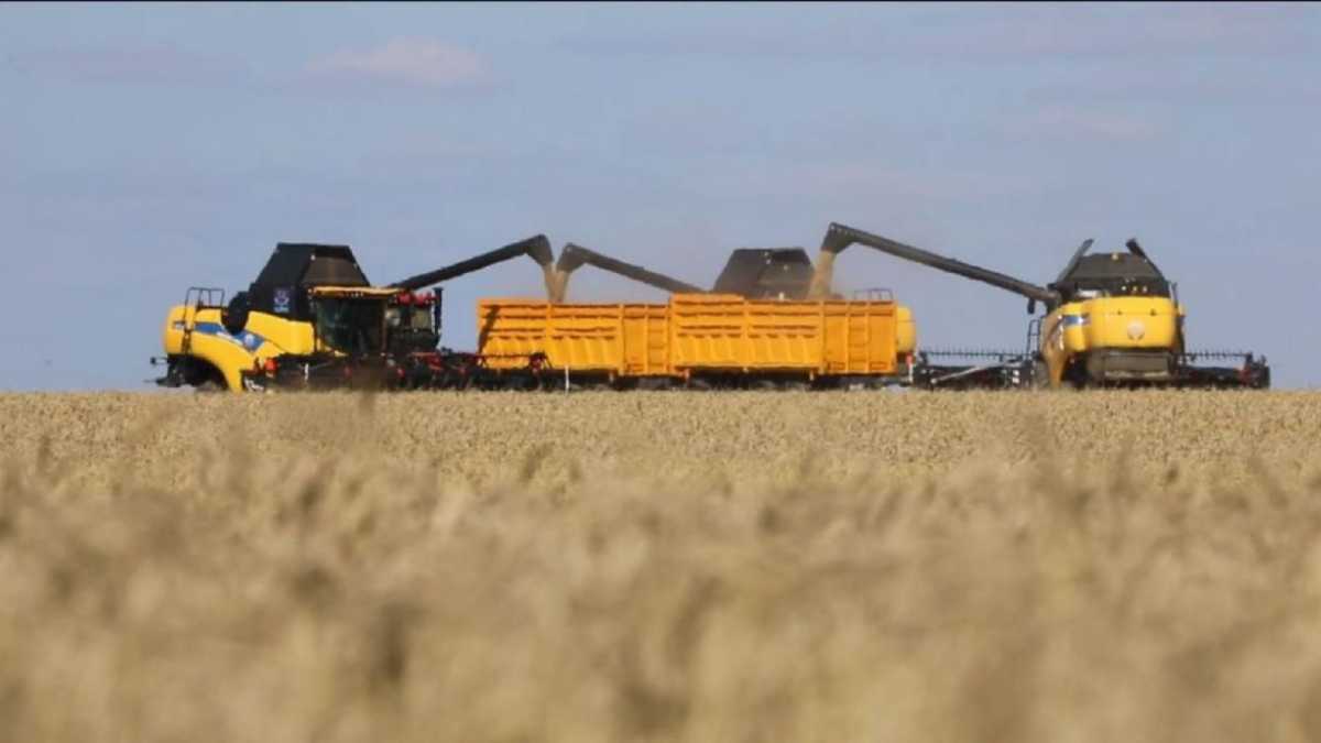 Егін жинау науқаны 15 өңірді қамтыды, 2,4 млн астық бастырылды