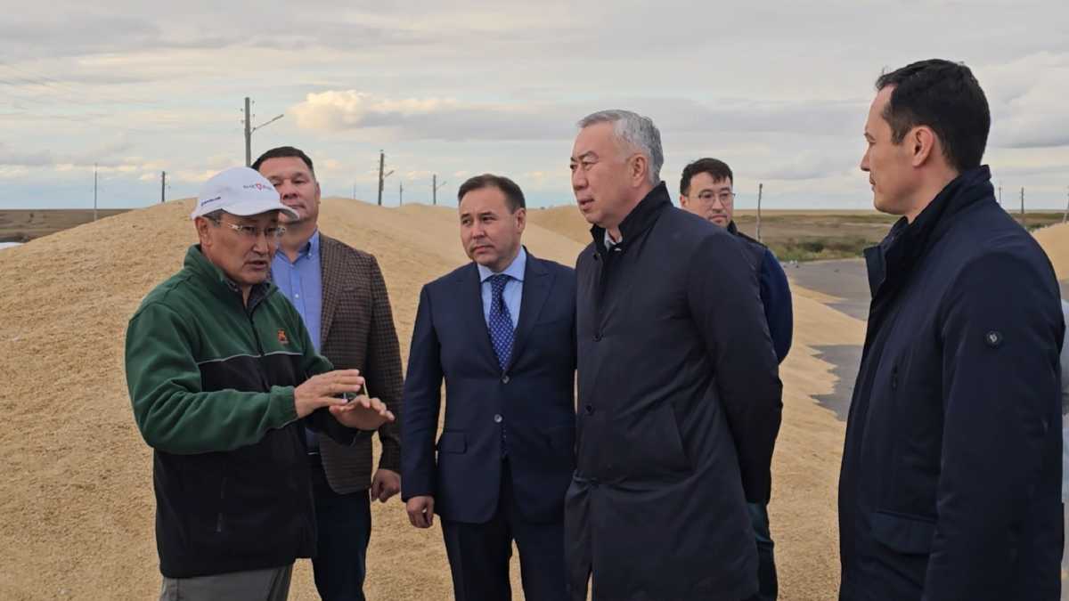 Қазақстанда асыл тұқымды мал шаруашылығын дамытуға бағытталған  «Игілік» бағдарламасы бастау алады