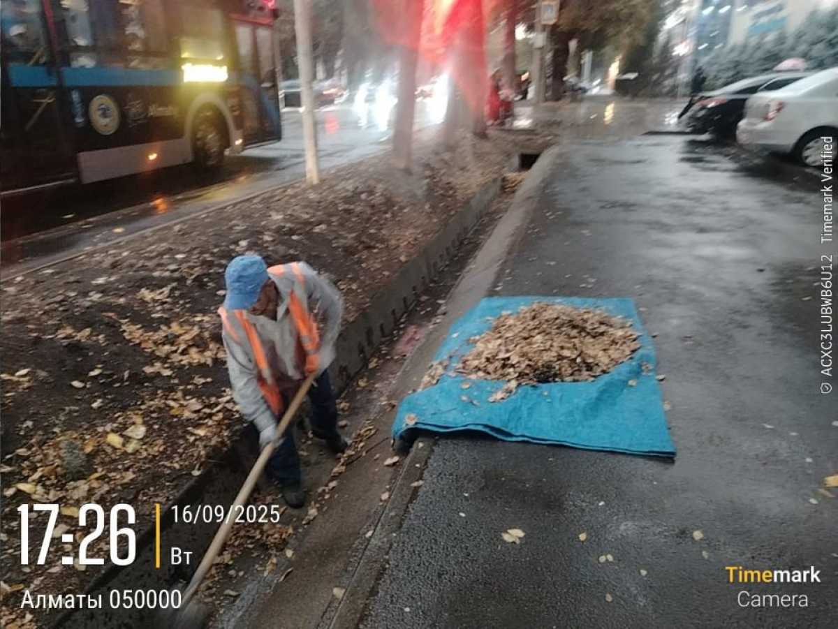 Алматыдағы нөсер кезінде қыркүйек айындағы жауын-шашын мөлшерінің жартысы жауды