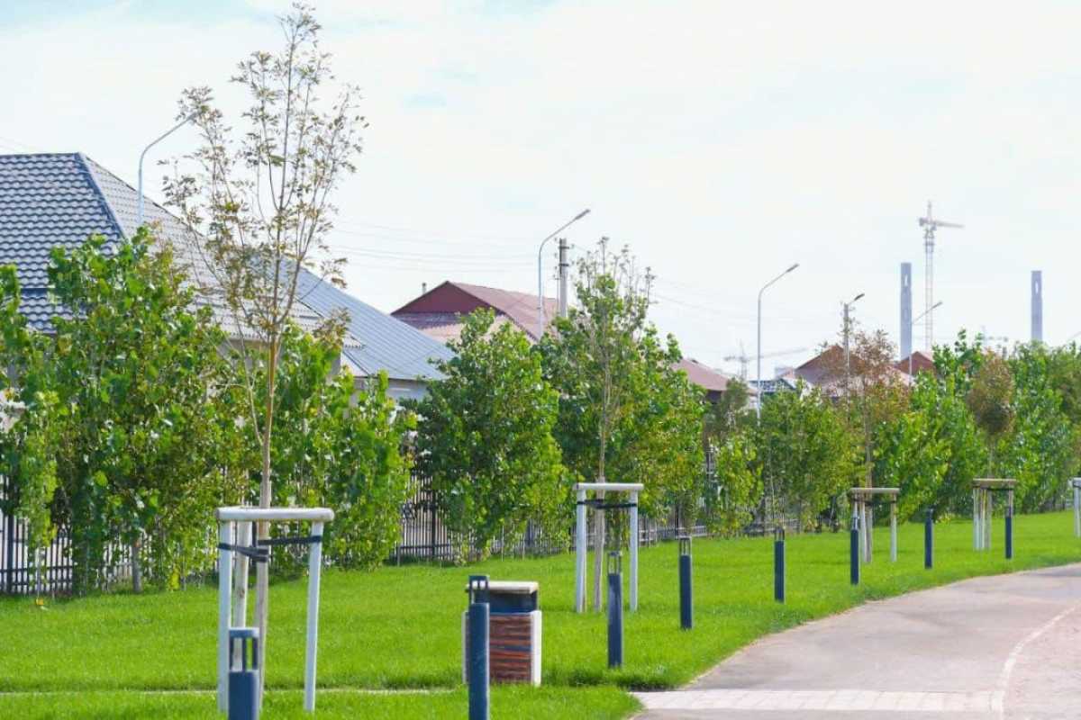 Түркістан облысы көшет өндіруден Республикада көш бастап тұр