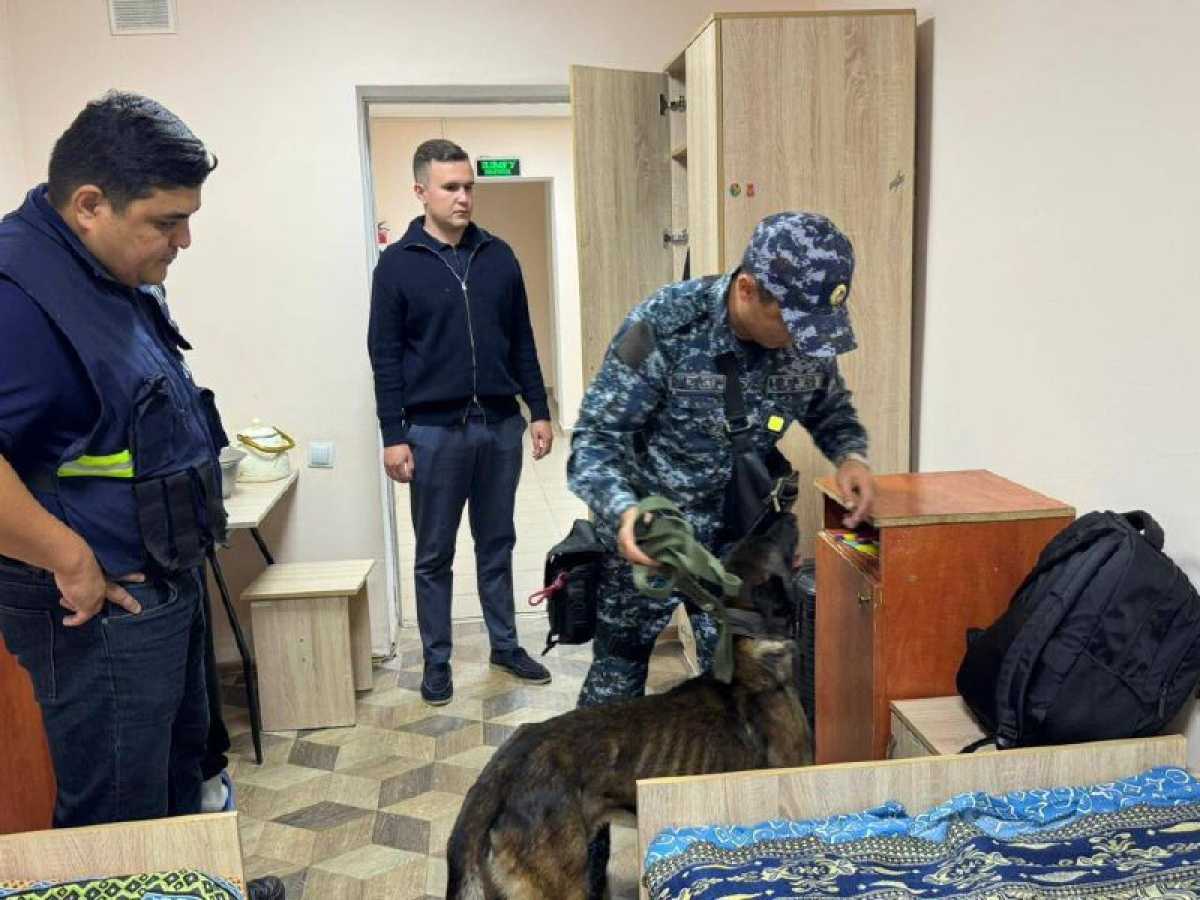 Есірткіге қарсы айлық: елордалық жатақханаларда студенттердің қауіпсіздігін қамтамасыз етуге бағытталған рейд өтті