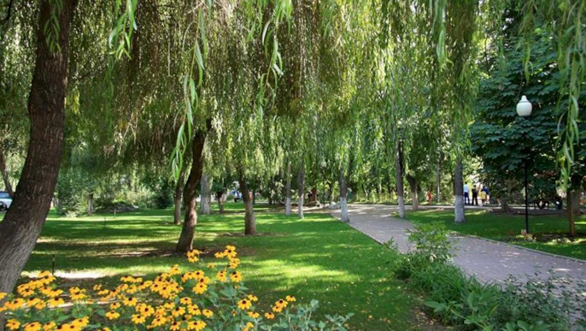 Алматыда күзгі көріктендіру және гүлзарларды қысқа дайындау жұмыстары басталды