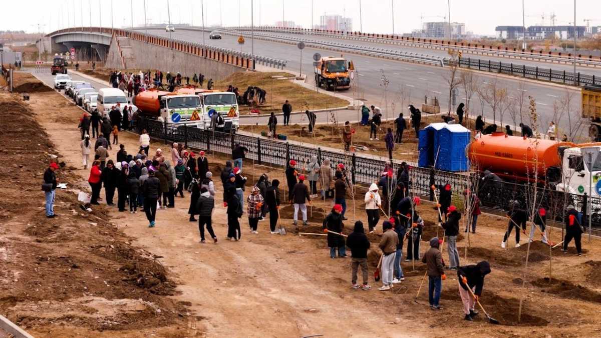 Елорданың «Сарайшық» ауданында 500 түп ағаш отырғызылды
