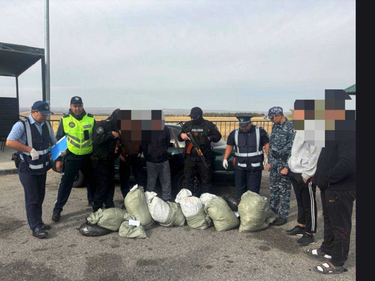 Жамбыл облысында полицейлер 66 келі марихуана тасымалдау әрекетін тоқтатты
