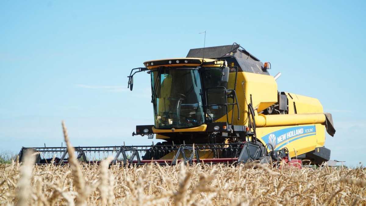 Ақмола облысында 7,1 миллион тоннадан астам дән бастырылды