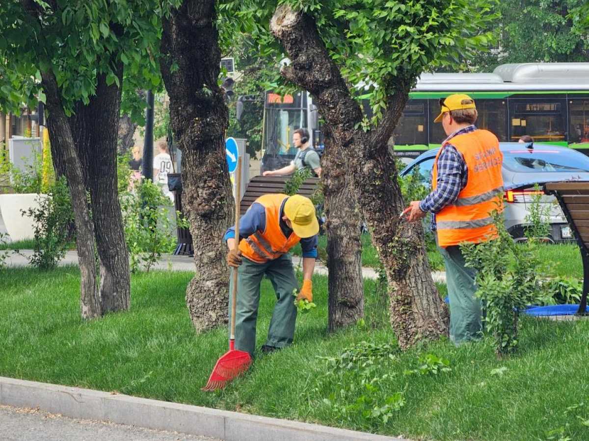 «Жасыл аула» экологиялық акциясы: Алматы тұрғындары жүздеген ағаш пен бұта отырғызды
