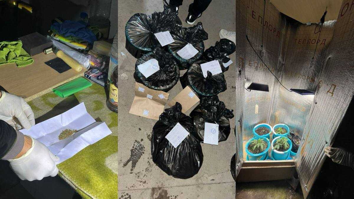 Оралда полицейлер есірткі өсірген күдіктіні қолға түсірді