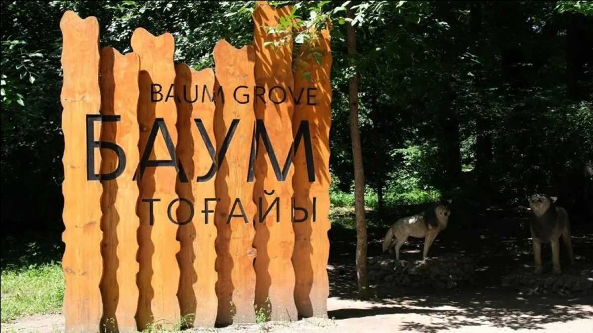 Алматыда Баум тоғайын сақтау және дамыту жобасы басталды