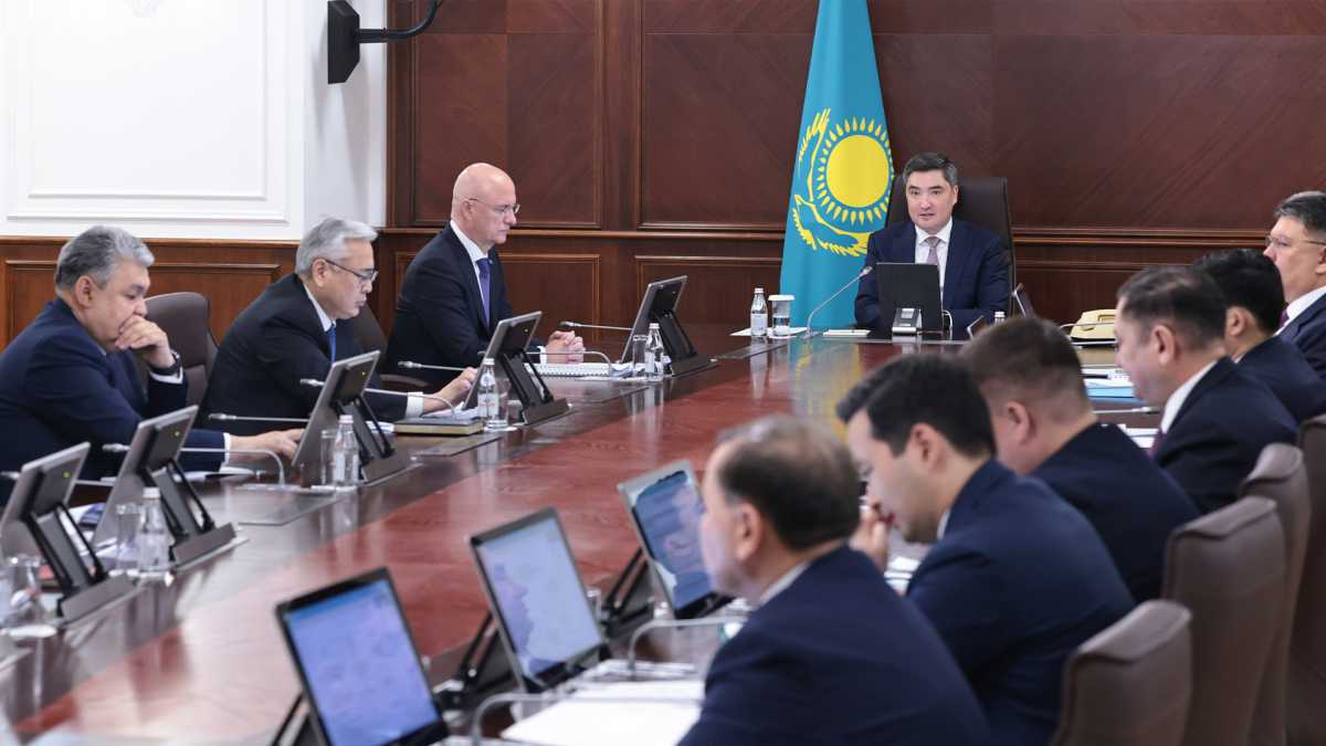 Үкімет Президент тапсырмасы бойынша барланған жер қойнауы көлемін 2,2 млн шаршы шақырымға дейін жеткізеді