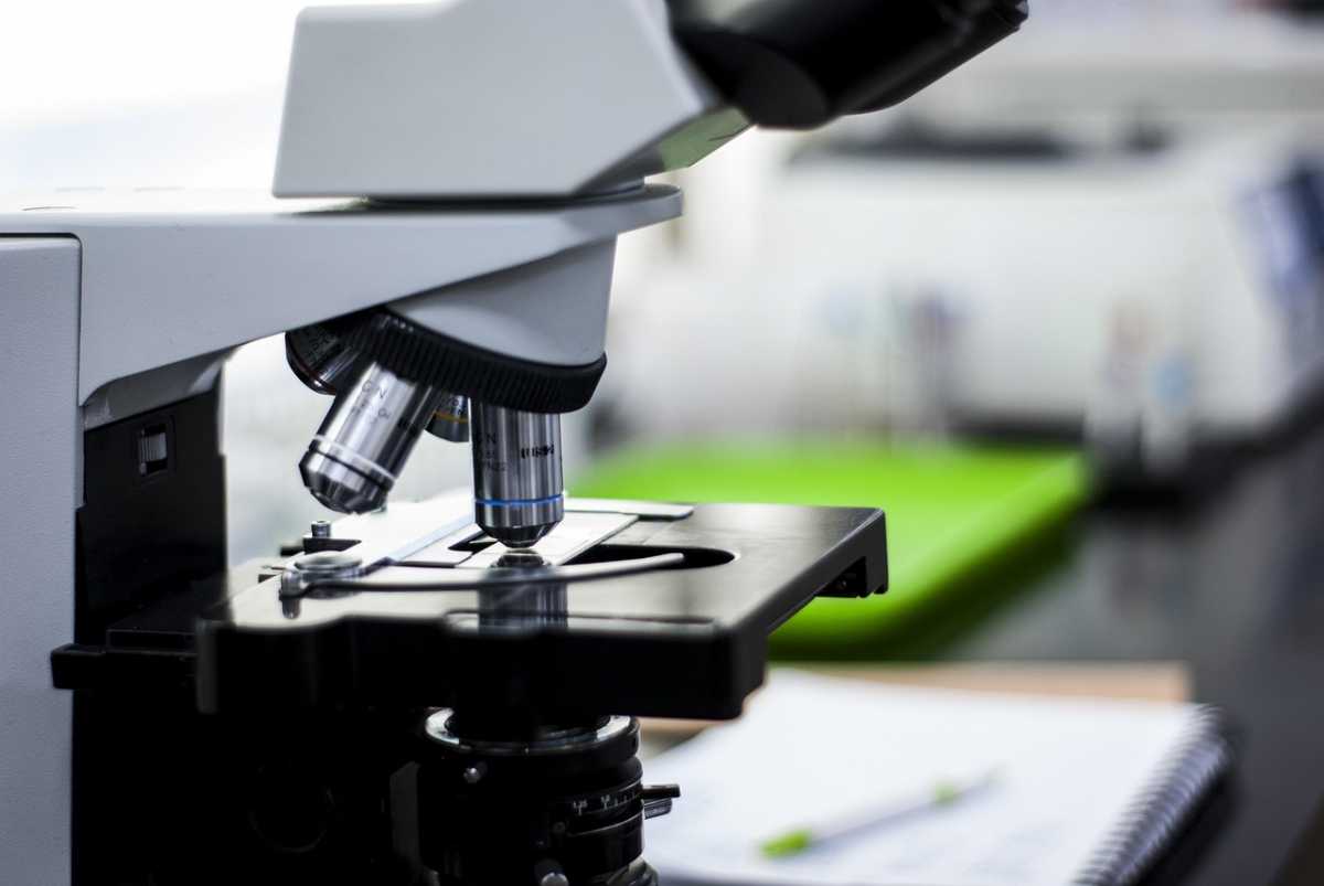 Қазақстандық мектептерде ашылған бейіндік сыныптарда 31 мыңнан астам оқушы кәсіби дағдыларды меңгереді