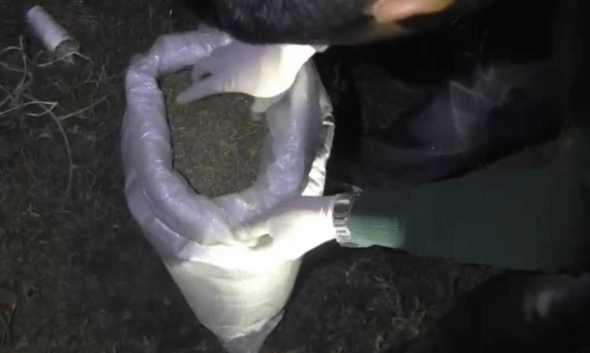 Шуда 50 келіден астам марихуана тасымалдаған екі күдікті ұсталды