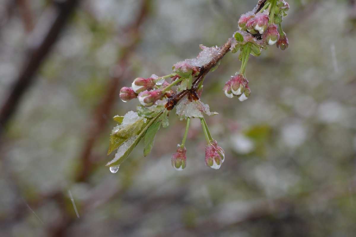 Қазақстанда қараша соңында жылы әрі құбылмалы ауа райы күтіледі