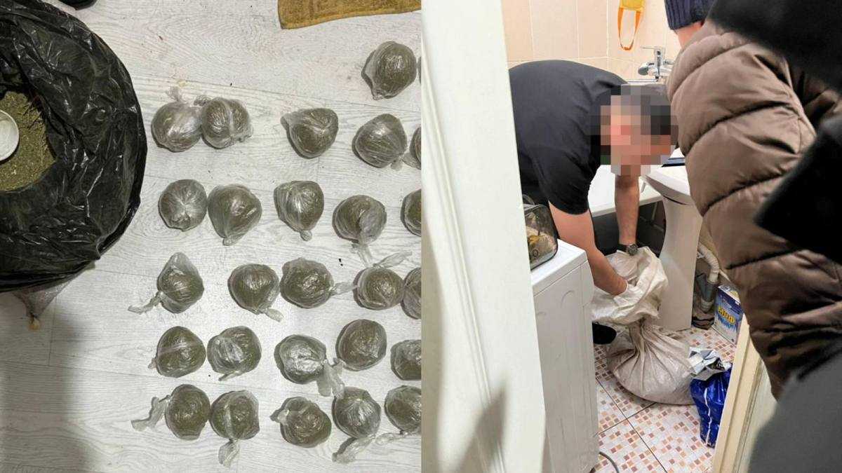 Қостанайда 5 келіге жуық марихуана сақтады деген күдікпен ер адам ұсталды
