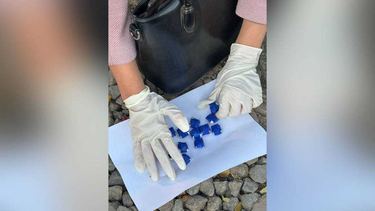 Петропавлда есірткіні жасырын қойып кетумен айналысқан күдікті ұсталды