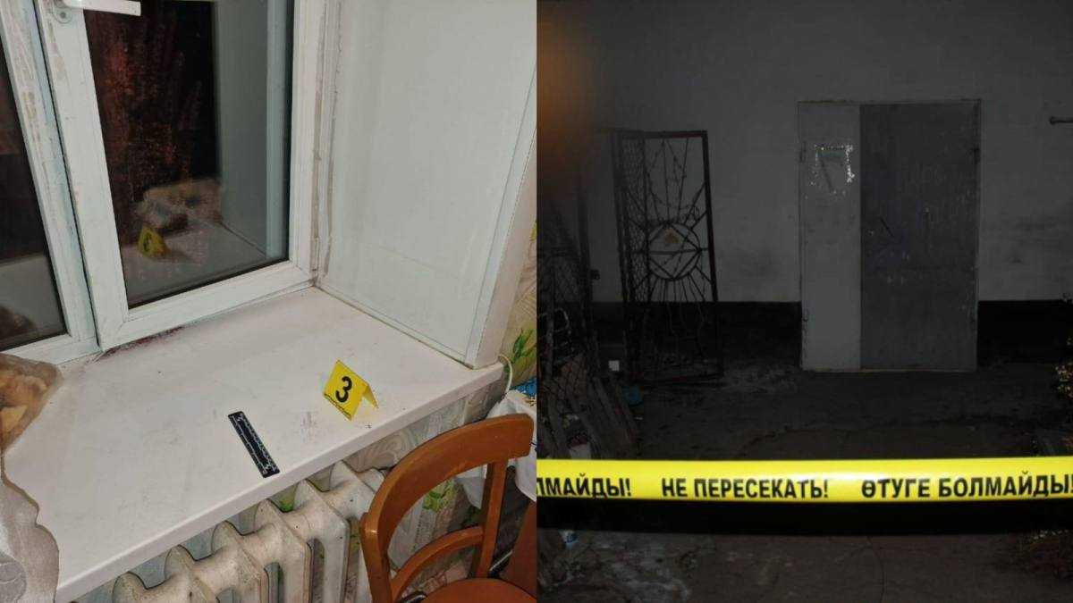 ШҚО-да полицейлер қарияны тонамақ болған күдіктіні құрықтады